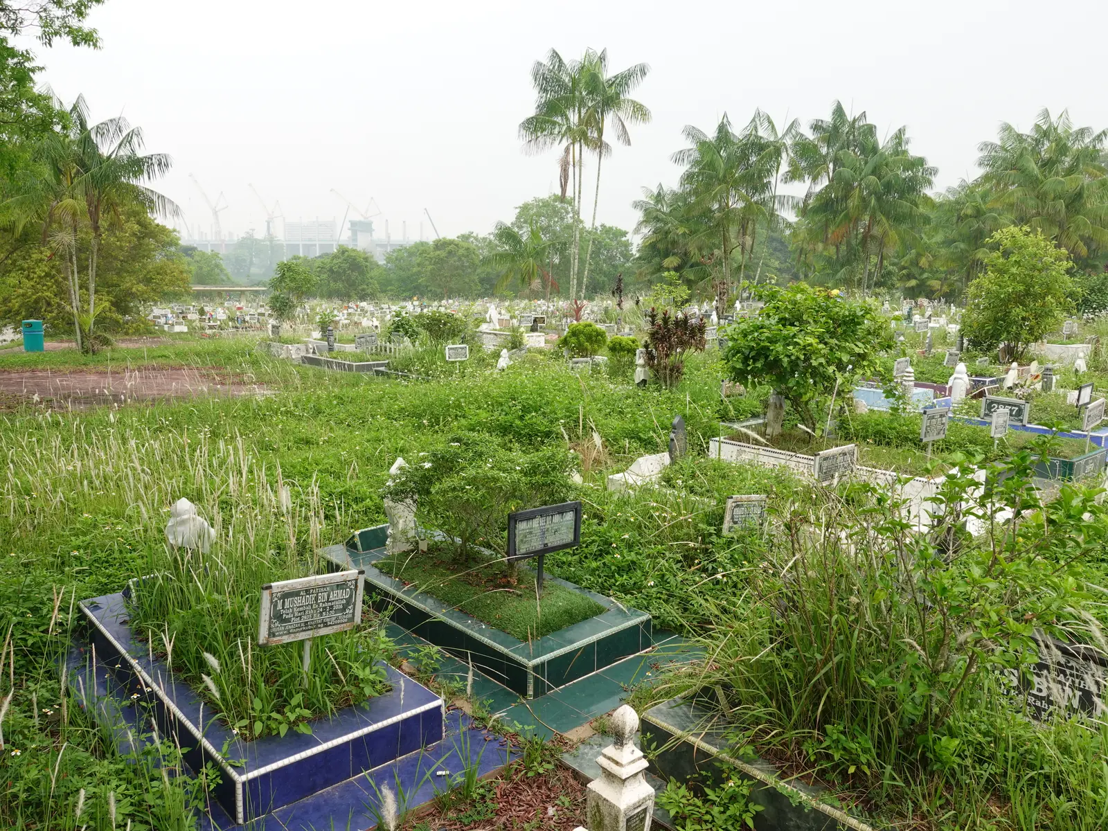 Graves and surrounding greenery at a Muslim cemetery