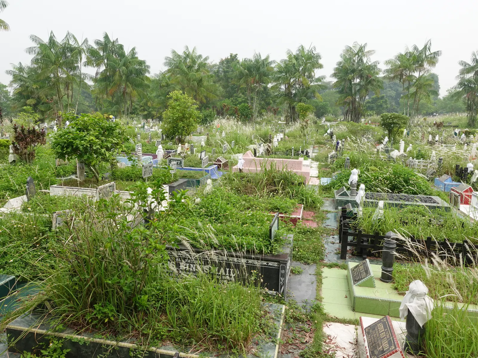 Graves and greenery at a Muslim cemetery